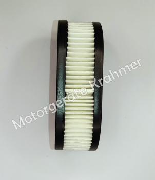 Luftfilter Briggs & Stratton